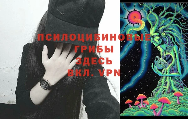 кокаин Бородино