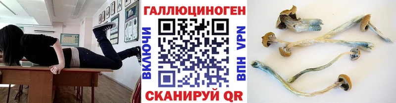 Купить  Сим  Галлюциногенные грибы MAGIC MUSHROOMS 